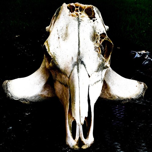 “The price of Freedom is eternal vigilance.”
-Thomas Jefferson 
LIVE FREE

all memes not marked or accredited are origin...