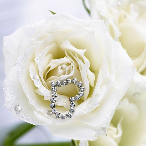 💎 🕊 💎
❌💉❌