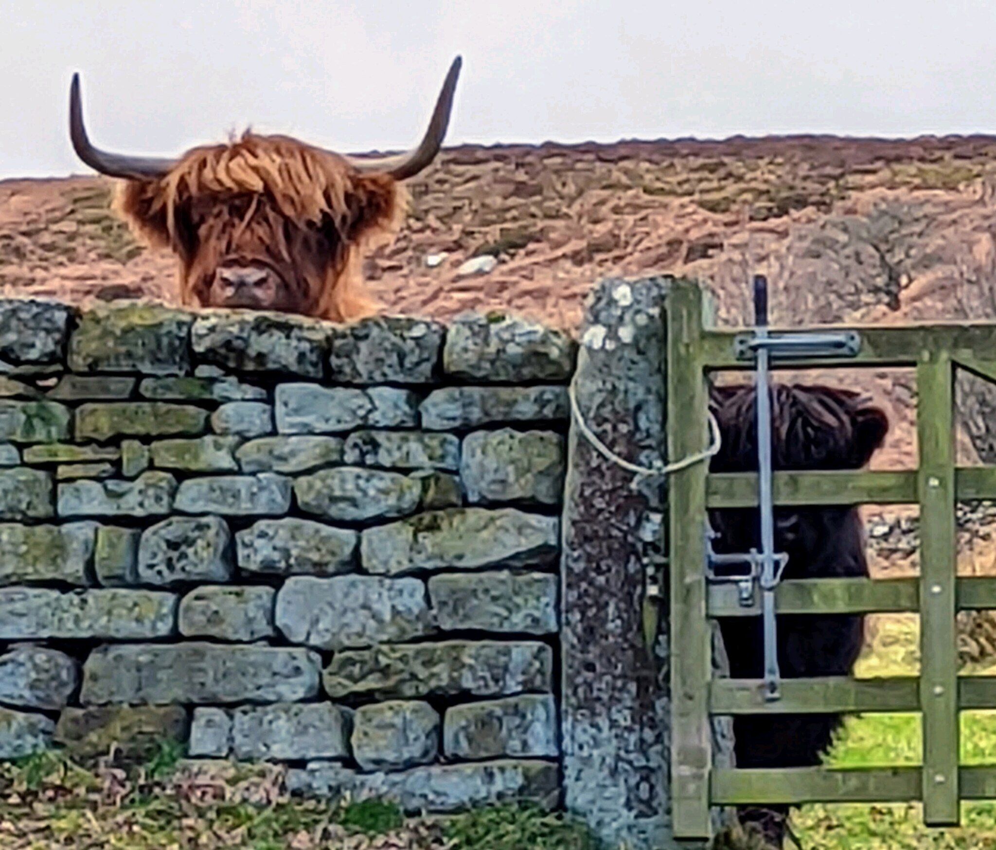 Breakfast Ready Yet?