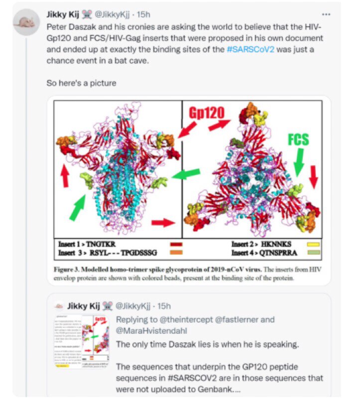 Pour information 😡😡😡⬇️

Jikky Kij ma souris 🐁 favorite a été banni de Twitter pour un fil à prop...