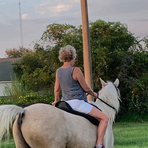 retired, lover of Jesus, love America