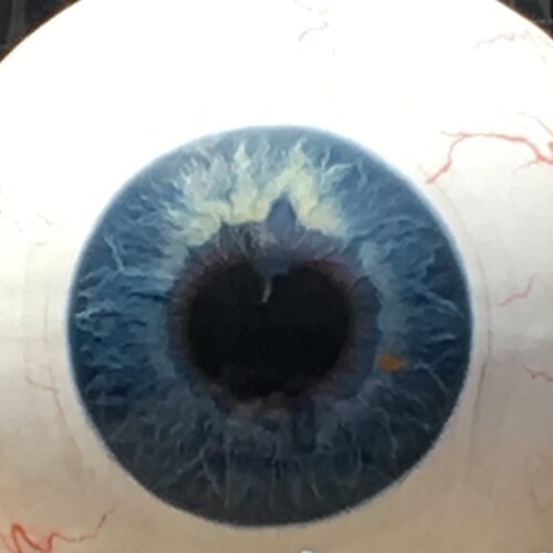 Peace Through Strength