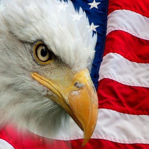 Visit JWspeaks's profile on GETTR. View their posts, photos, videos, and connect with them on the social platform.