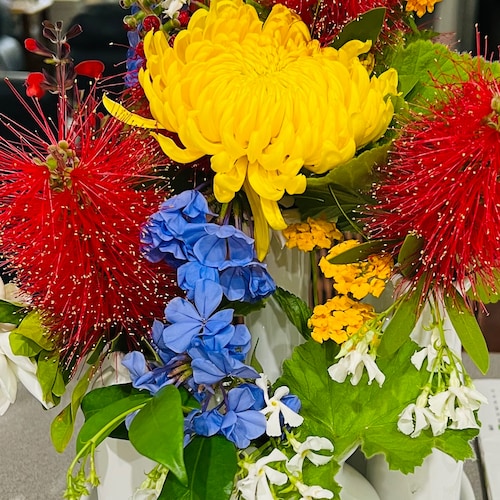 Christian, Conservative Who is greatly concerned about the State of Our Union!