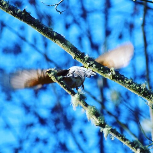 Veteran, photographer, ham radio operator, DIY guy, and outdoor enthusiasts in the Pacific Northwest