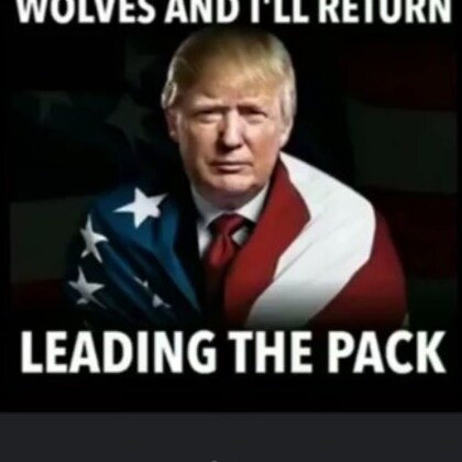 #Trump #Trump2024  #TrumpWon Just a nobody who loves his country and his President who is Trump. Suspended by Twit Trot ...