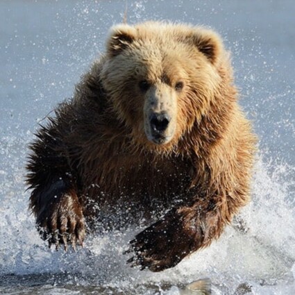 "Nobody ever defended anything successfully, there is only attack and attack and attack some more." ~ George S. Patton