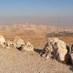 Clintonphobic. Trump is MY President