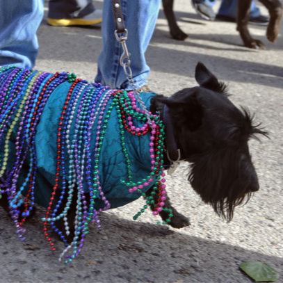 Known at tw*tter as President Doctor
www.gopbriefingroom.com