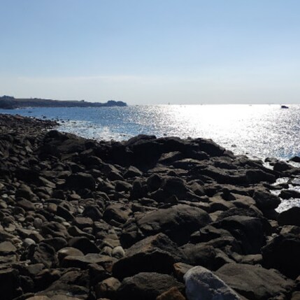 Subir ou choisir ?
Savez-vous ce que c'est la liberté d'être ?
Obéir ou réfléchir, il faut choisir puisque réfléchir, ...