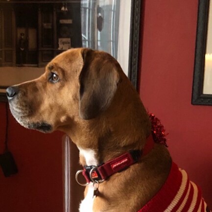 This is Spiritual War. Everything about being a Human Being is under attack. Uniting & stopping divisiveness will solve ...