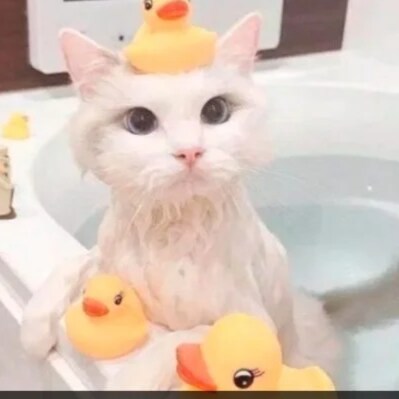 1995 Vocational Industrial Clubs of America National Quiz Bowl Bronze Medalist. Relax ladies, I'm married.