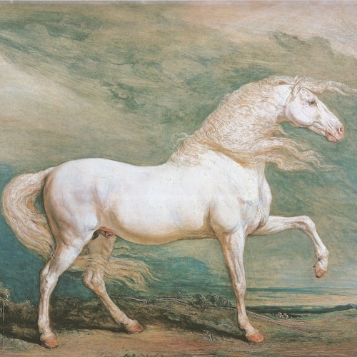 🥇AmericaFirst   👮‍Law & Order   ⚖️ Due Process  🔑LibertyIsKey   🙏🕯️Christian   #IFB.  If I miss following U pls let...