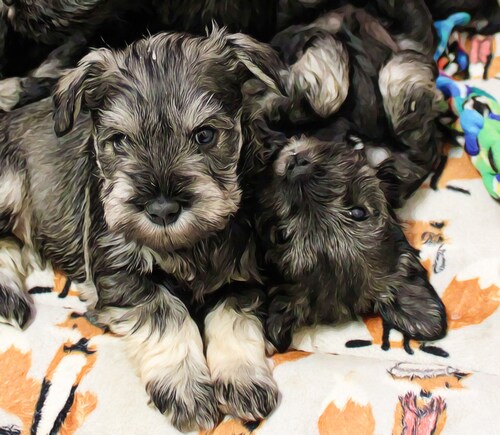 First post. #bitchplease