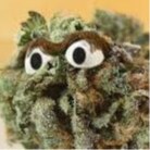 | Father | Husband | Army Veteran | Master Grower | Crytpo/Stonks | Owner of a Penis | Based Connoisseur | 1776 Enjoyer | Frog Poster | Full Time Chad |