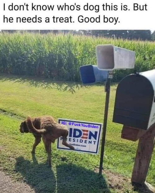 View RileyHill's post on GETTR. Join the discussion, share your thoughts, and connect with the community.