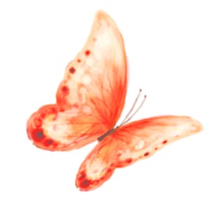 for u  2021.11.27我终于知道了