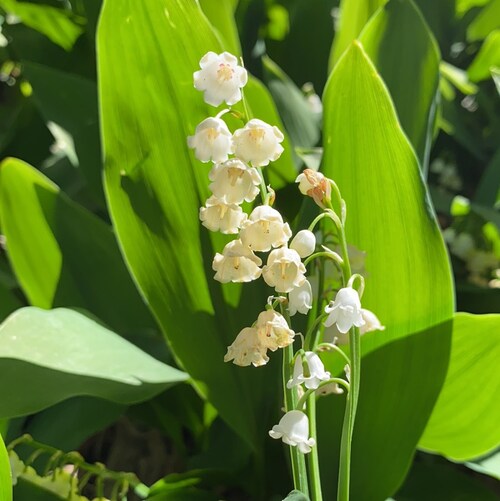 Put on the full armor of God so that you can take your stand against the devil’s schemes