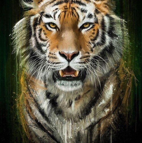 Wake up to the sunshine！Follow me and I will follow you back. 等待黎明来临!