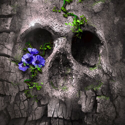 2020 has brought me into clear thinking, and like Alice, I’ve realized nothing is as it seems. Open to discussions on cu...