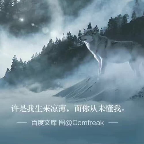 追随七哥，坚定的挺郭者！