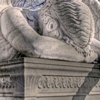 Christian, mother of six, grandmother of one. Homeschoolers from 1982. Former Mayor. Freedom fighter against corruption.