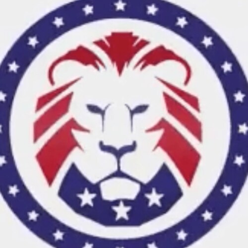 🇺🇲 United We Stand 🇺🇸