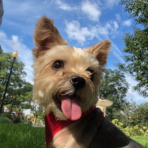 Having a little look around. just say no to the twits lol.🍊🍊🍊🍊🍊🍊