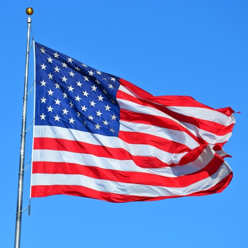 MAGA #45