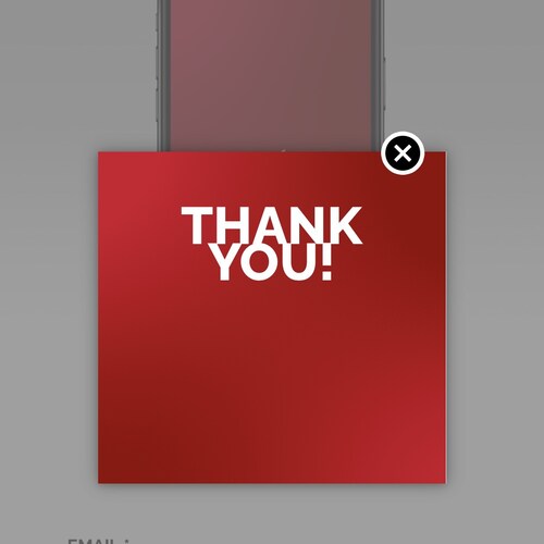 A TRUMP-SUPPORTING PATRIOT AND PRO-LIFE