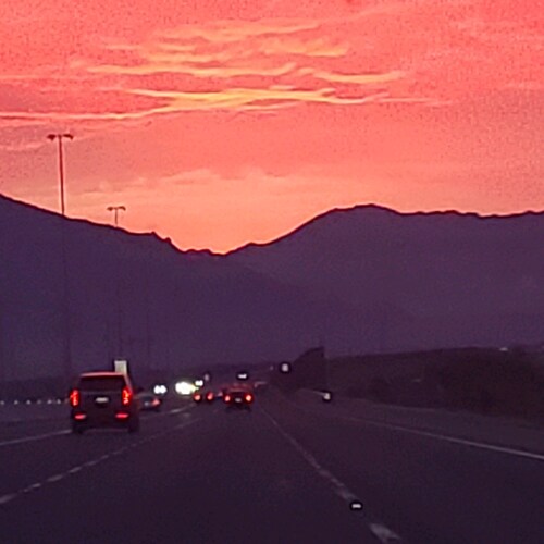 🇺🇸 Freedom Loving American! 🇺🇸