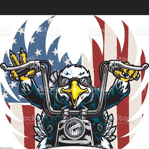 3rd gen Texan🇨🇱Trucker/biker❤️Cowboys🏈 ❤️cops❤️military❤️Jesus❤️Patriots all colors🇺🇸👏👏🏽👏🏿Liberal Democrats an...