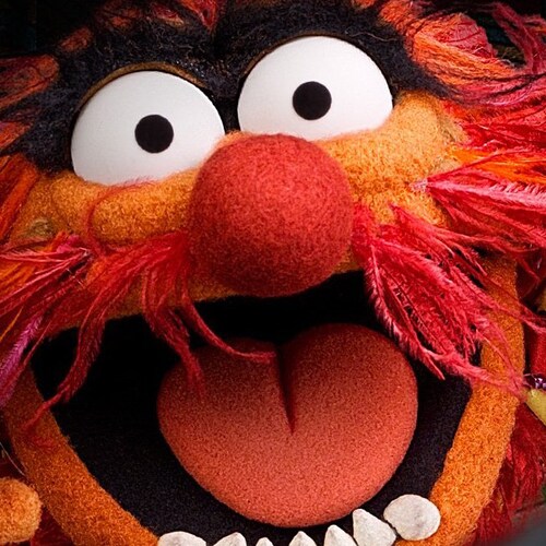 what the Hell is going on in this World?