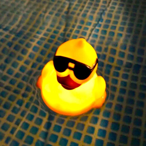 Proud American 🇺🇸