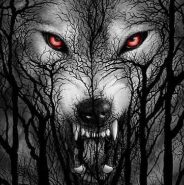 Happily divorced, proud mom and Gma! tired of Twatter BS