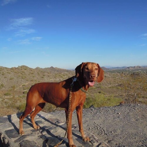 Christ Follower, Wife, Mother, Grandmother, Hiker, Bird-lover.