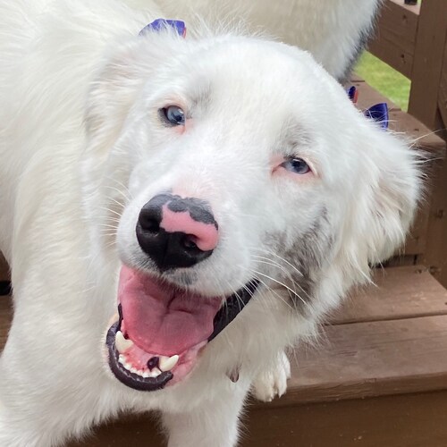 By Grace Through Faith In Christ Alone