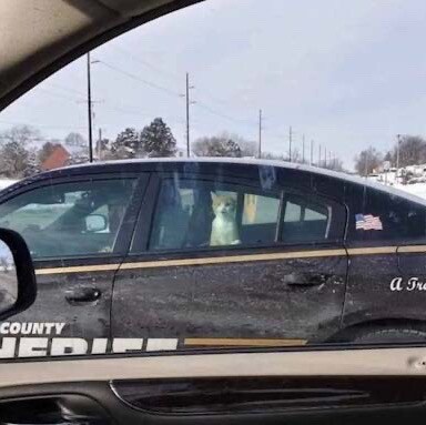 To thine own self be true.

@ justinopinion on minds