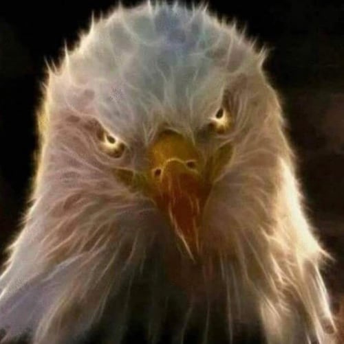 Cancer Killer, Husband, Father, Proud American, Love baseball, Music, concerts, Back the Blue, Military, Vets, and First...