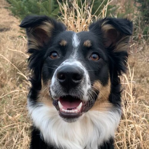 Just looking to look.