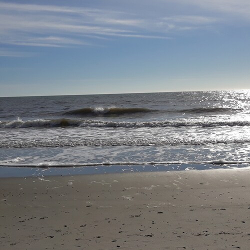 Retired, loves the beach, believes in freedom and supports our constitution