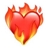 Believer, Mother, Grandmother, Abuse Survivor. Human rights, medical & economic freedom, natural immunity, bodily autono...