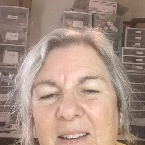 Proud white singer songwriter. True patriot, guns, God, family. Pro life.