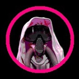 I never would have voted for Trump if the media would have left him alone. The more they bashed him the more I wanted to...