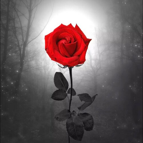 🇺🇸🇺🇸🇺🇸🇺🇸🇺🇸🇺🇸🇺🇸