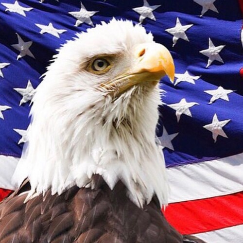 Husband, Father, upholding the Constitution. 2nd amendment guarantees all other rights!!!🇺🇸