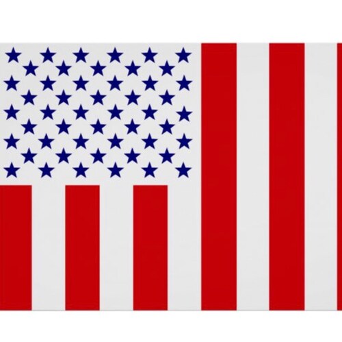 SAVE AMERICA ! Let’s take back our sovereignty! GODS LAW NOT CORPS LAW!