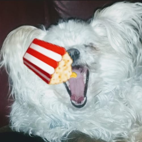 Christian Patriot for freedom. Back the blue. Down with globalization and the entire DeepState agenda. 🇺🇸🙏💥