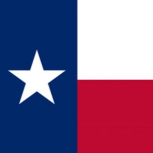 Zoomer (19) // Conservative // America First Populist // Trump 2024 🇺🇸