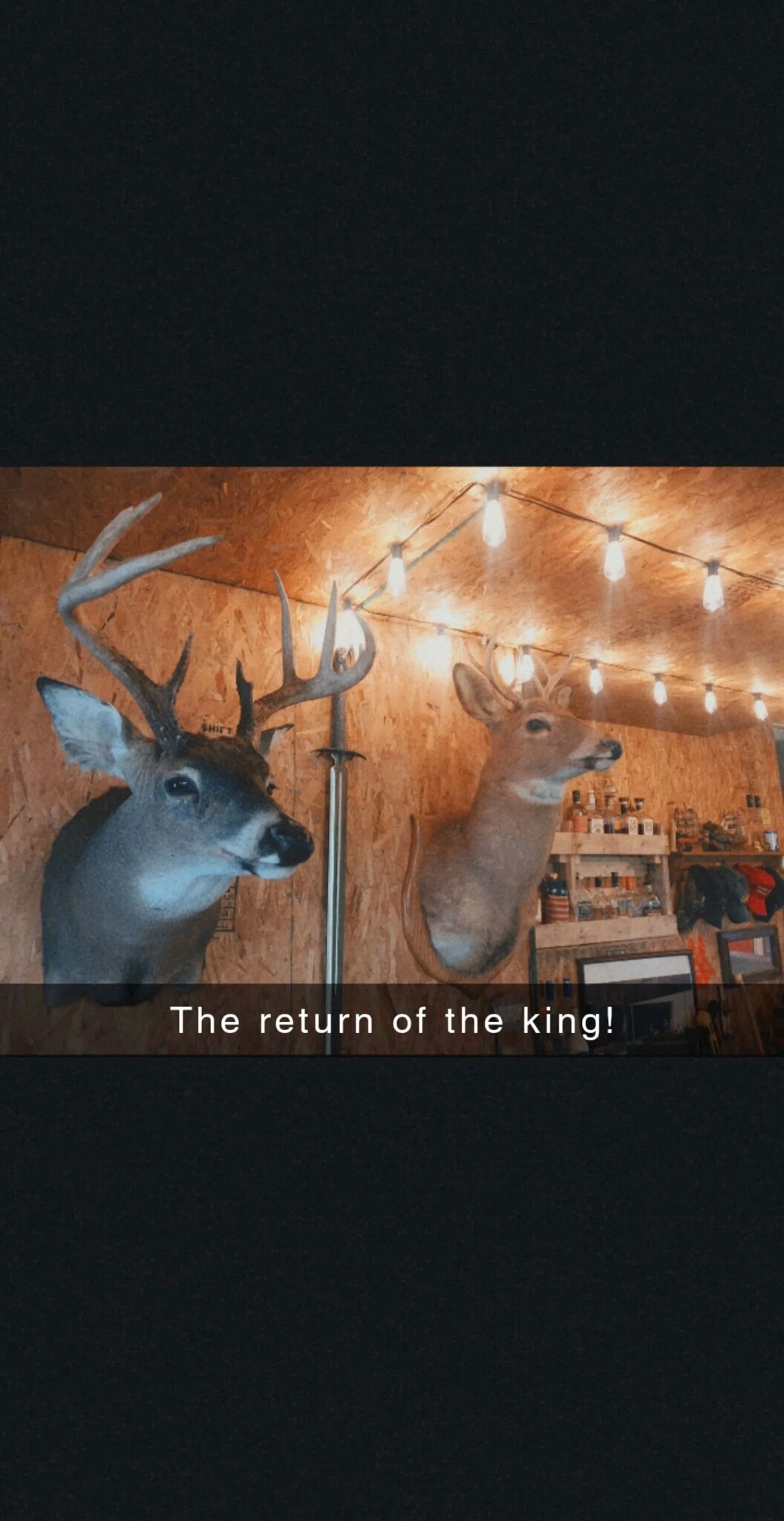 View Ob1jakobi's post on GETTR. Join the discussion, share your thoughts, and connect with the community.